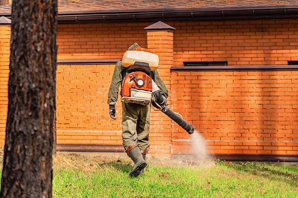 Bed Bug Clearance Verification and Documentation in Samson